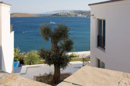 Stilvolle Moderne Villa Mit Pool Und Meerblick.