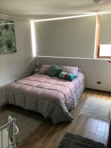 Apartamento Departamento Un Ambiente Centro De Concepci�n