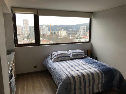 Apartamento Departamento Un Ambiente Centro De Concepci�n