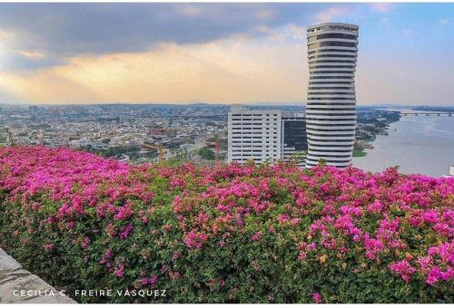 Apartamento Ecusuites Luxury 2 Beds Bellini High River View