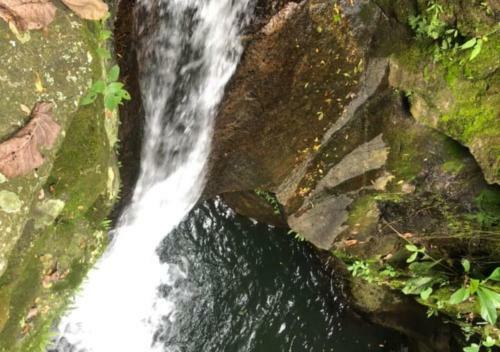 Glamping Con Jacuzzi Para Grupos O Parejas En Caldas