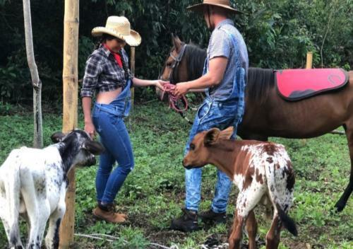 Glamping Con Jacuzzi Para Grupos O Parejas En Caldas