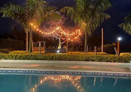 Glamping Con Jacuzzi Para Parejas En Caldas