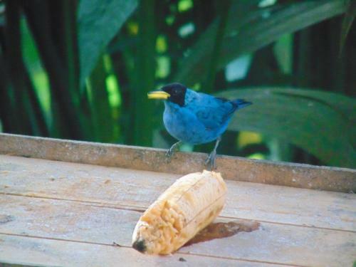Bed & Breakfast Finca La Colina