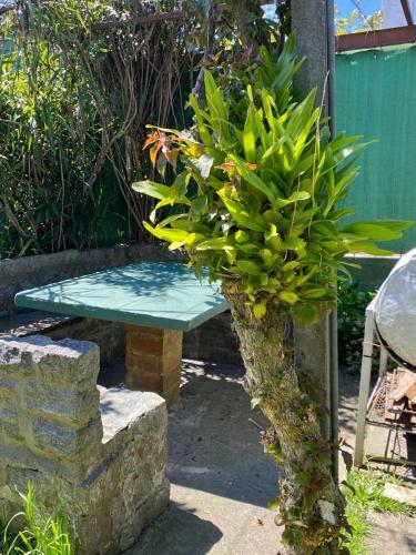 Apartamento Gladys House