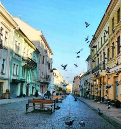 Apartamento ???????? ? ?????? ???????? ??????????? Zoneofcomfort-1 ????? ? ??????? ?????, ??????? ?? ????????? ??? ??????????, ?? ?????