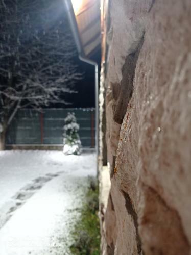 Cabana Piatra Plaiului