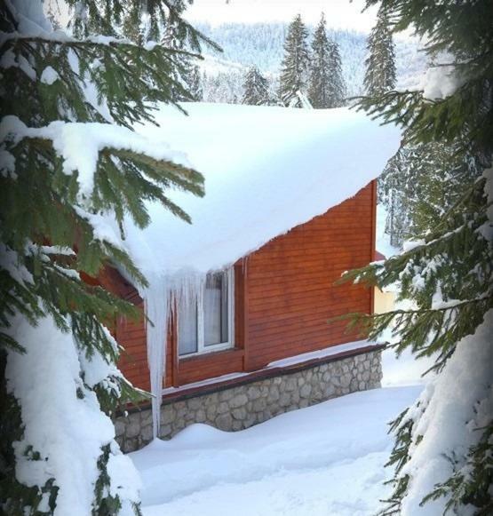 Lodge Vile Izvorul Minunilor