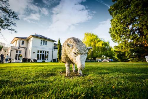 Best Western Llyndir Hall Hotel And Spa