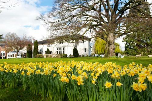 Best Western Llyndir Hall Hotel And Spa