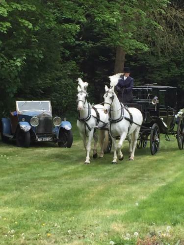 Posada Norfolk House Hotel