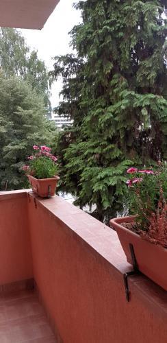 Apartamento Armonia