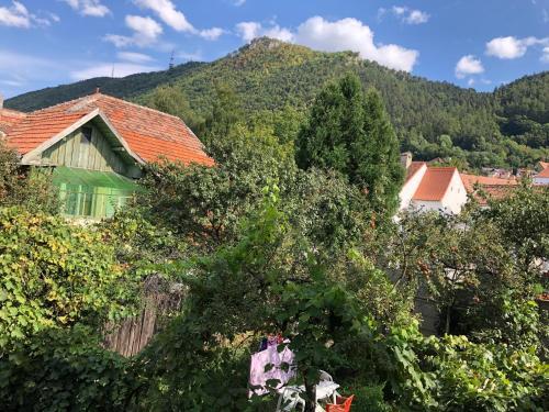 Schei Apartament 2