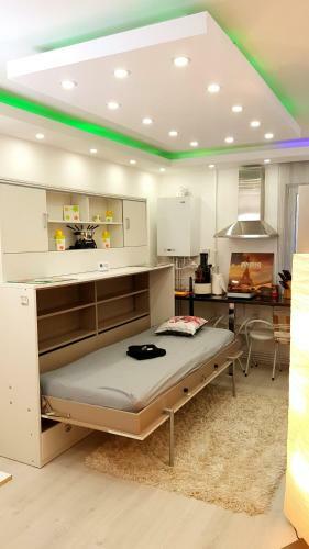 Luxury Paul Apartment Green, Private & Accessible