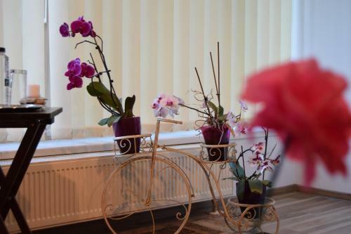 Apartamento Central Appartment St's Martin Church