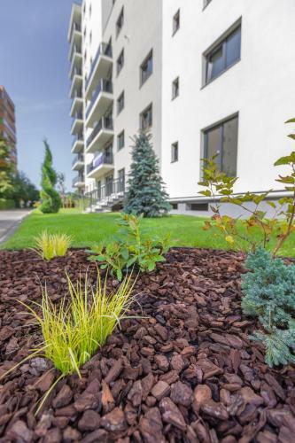 Avram Iancu Apartments