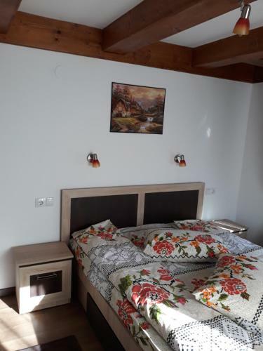 Villa Casa Padina Cu Pietre