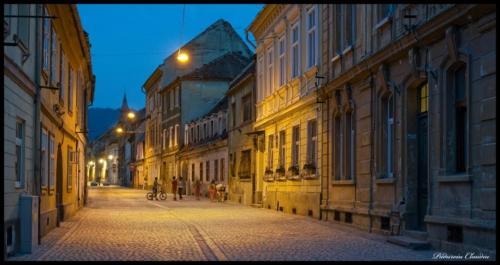 City Center Apartment Brasov 59