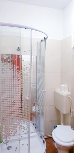 City Center Apartment Brasov 59