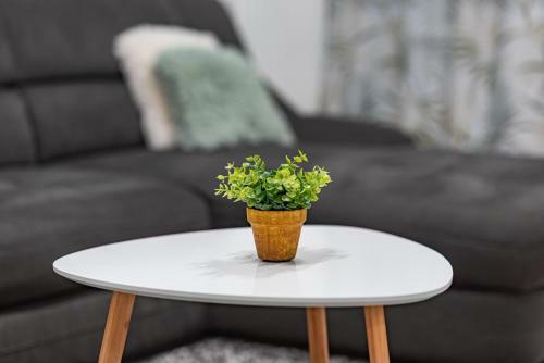 Green Apartment Coresi