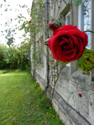School House Hotel & Restaurant