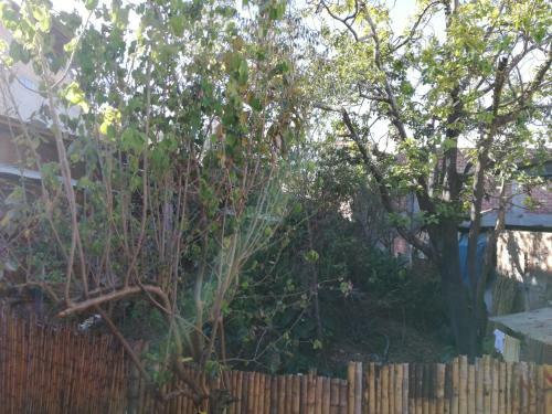 Albergue Aventura Chachapoyas Backpackers