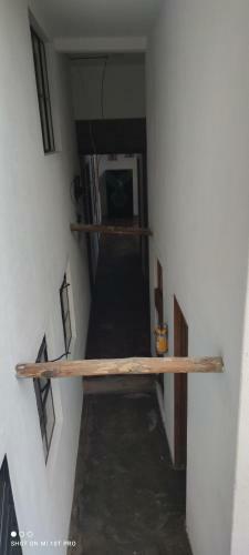 Apartamento Violet Parrot San Antonio