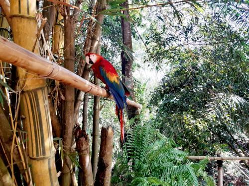 Lodge Casa Campo Emaus