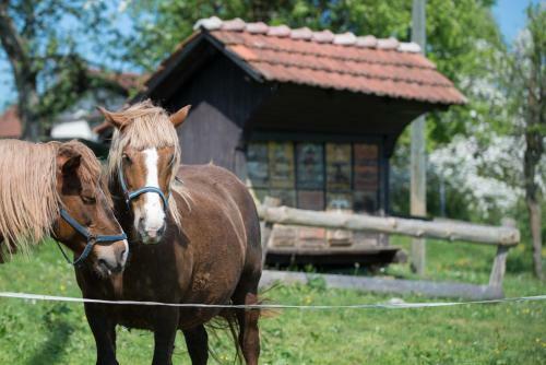 Agroturismo Holiday Farm Grofija