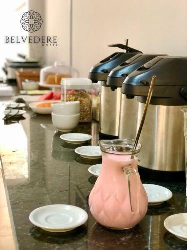 Hotel Belvedere