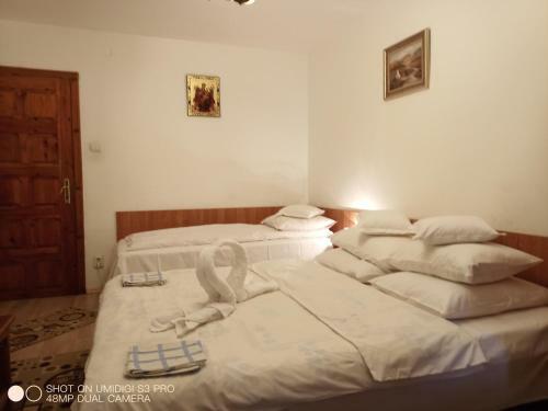 Hostal Casa Rodica Str. Clabucetului 28