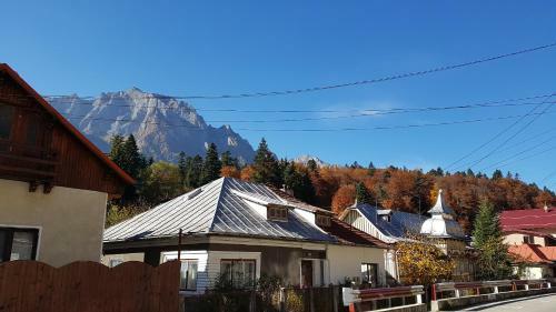 Cazare Stef Busteni