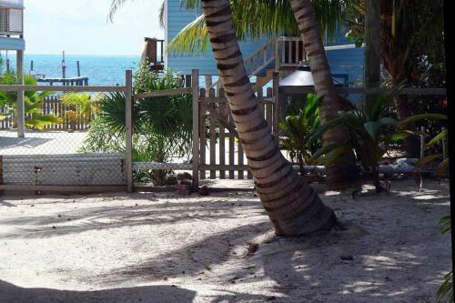 The Gumbo Limbo - Go Slow Cabana