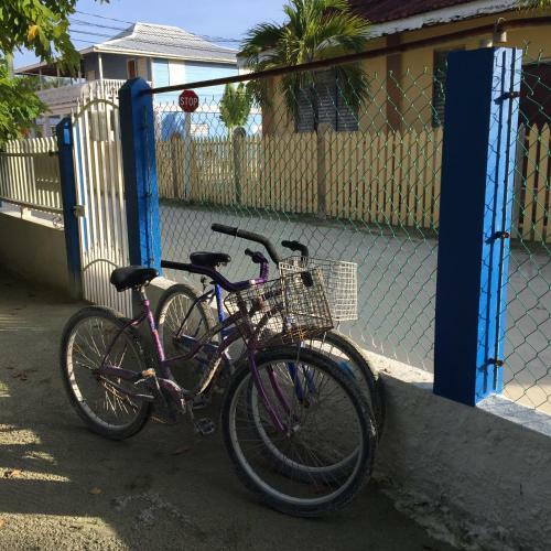 Hostal Jaguar Morning Star