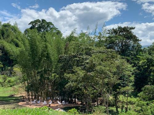 Hotel La Hacienda Del Pienta