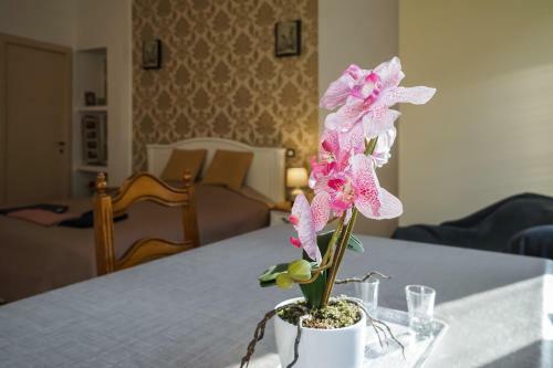 Apartamento Victoriei Yellow