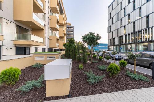 North Cozy Apartment - Aviatiei