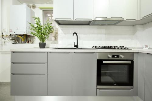Simple Yet Stylish. Piata Revolutiei Apartment