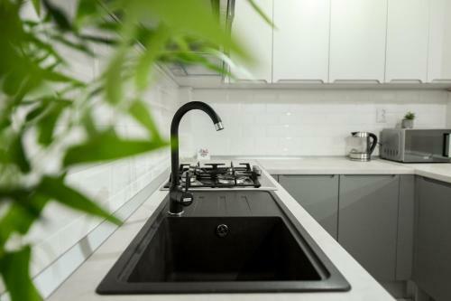 Simple Yet Stylish. Piata Revolutiei Apartment