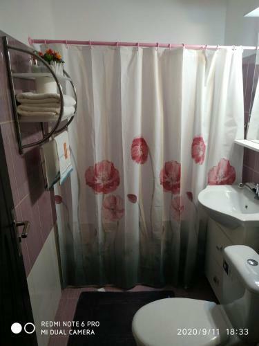 G&v Luxury Apartment Drumul Taberei