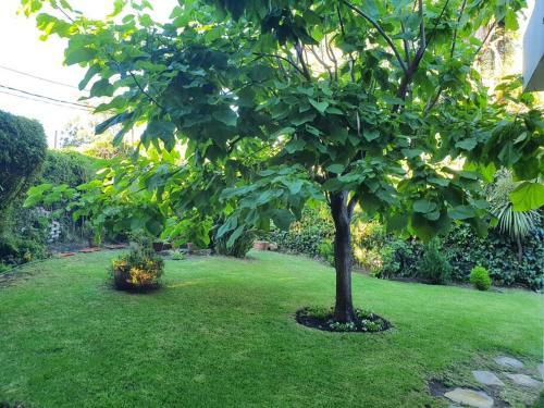 Apartamento Hermosa Casa En Montevideo (malv�n)