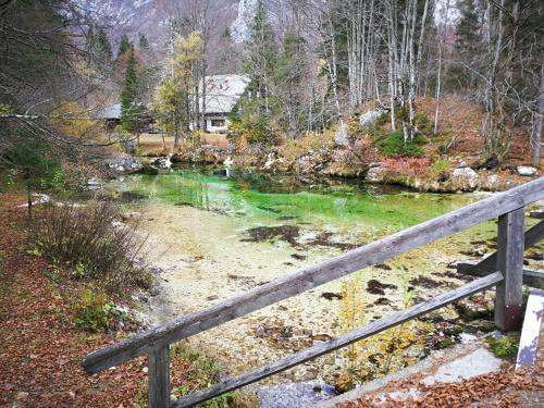 Zoisova Plana - Apartma Planika B&m