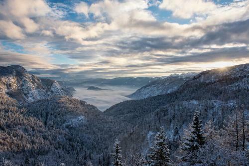 Apartmaji ?trud�l Bohinj