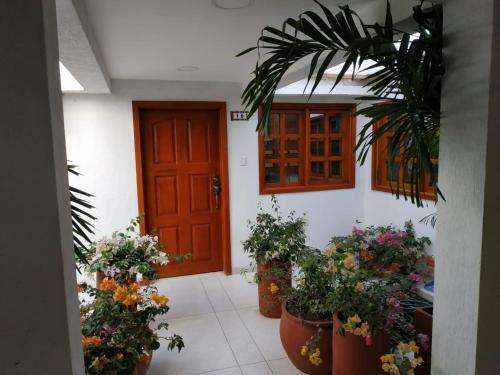 Posada Apartamentos Decor