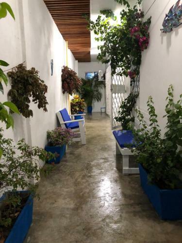 Casa Koral, Cartagena / Apartamento Amoblado