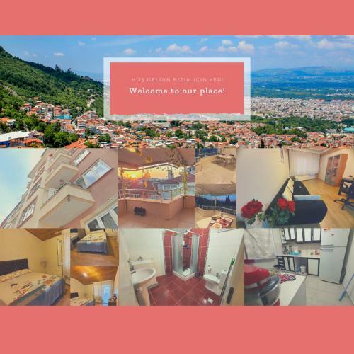 Lux Shared Room