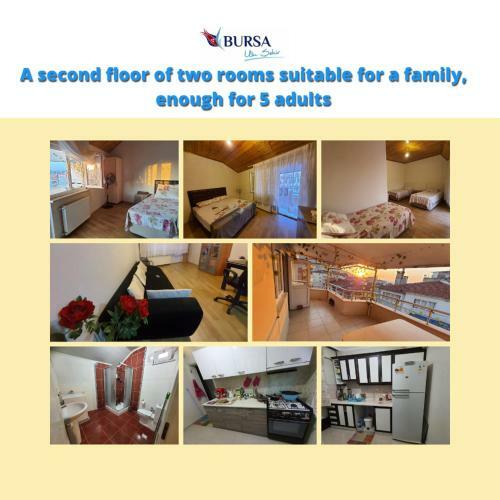 Lux Shared Room