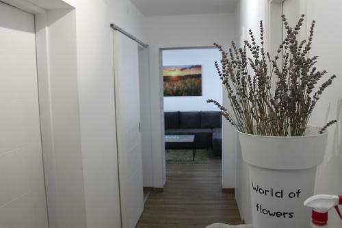 City Center Lux Apartment Dorotea