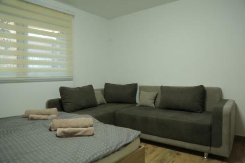 Exact Apartments