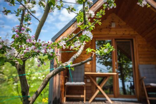 Glamping Kranjc